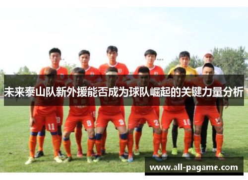未来泰山队新外援能否成为球队崛起的关键力量分析