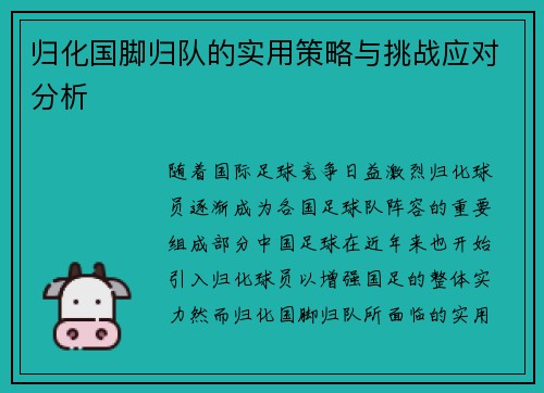 归化国脚归队的实用策略与挑战应对分析