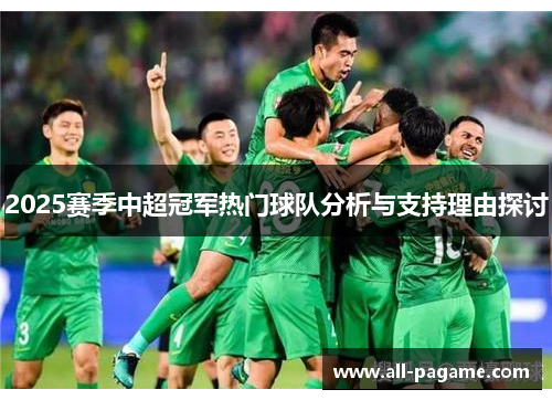 2025赛季中超冠军热门球队分析与支持理由探讨