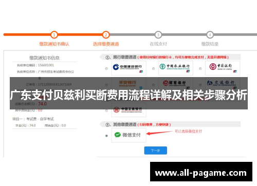 广东支付贝兹利买断费用流程详解及相关步骤分析