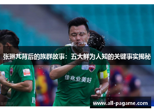 张琳芃背后的族群故事：五大鲜为人知的关键事实揭秘