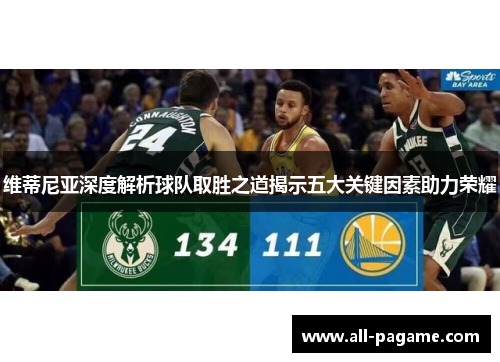 维蒂尼亚深度解析球队取胜之道揭示五大关键因素助力荣耀