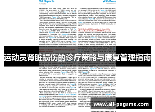 运动员肾脏损伤的诊疗策略与康复管理指南 运动员肾脏损伤的诊疗策略与康复管理指南