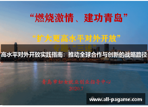 高水平对外开放实践指南:推动全球合作与创新的战略路径